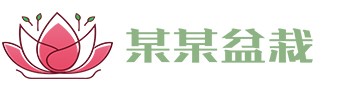 半岛APP(中国)官方网站IOS/安卓通用版/手机APP下载